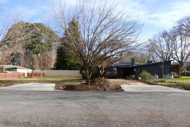 Residential Block For Sale - VIC - Beechworth - 3747 - Charming Beechworth Land Opportunity in a Prime Bridge Road Location  (Image 2)