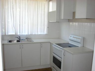 Apartment For Lease - NSW - Muswellbrook - 2333 - ONE (1X) BEDROOM RESIDENTIAL FLAT CENTRAL IN TOWN  (Image 2)