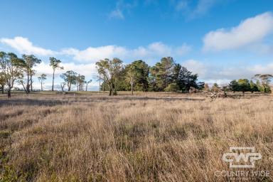 Residential Block For Sale - NSW - Guyra - 2365 - Build Your Dream Lifestyle on 2.67 Acres  (Image 2)