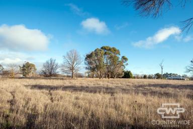 Residential Block For Sale - NSW - Guyra - 2365 - Build Your Dream Lifestyle on 2.67 Acres  (Image 2)