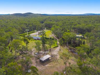 House For Sale - NSW - South Kempsey - 2440 - DUAL LIVING, INCREDIBLE SHEDDING & THE ULTIMATE BUSH-TO-BEACH LIFESTYLE  (Image 2)