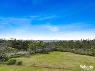 House For Sale - TAS - Four Mile Creek - 7215 - Kukimu  (Image 2)
