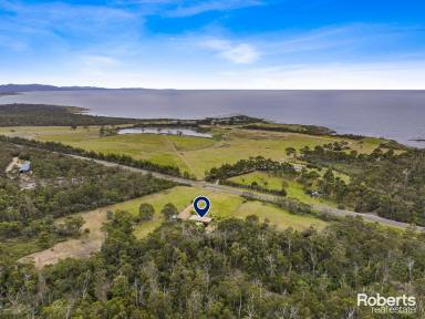 House For Sale - TAS - Four Mile Creek - 7215 - Kukimu  (Image 2)