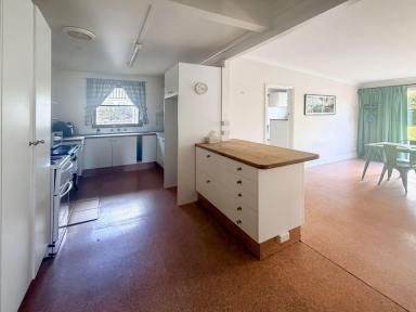 House For Lease - NSW - Shannon Vale - 2370 - Four-Bedroom Farmhouse  (Image 2)