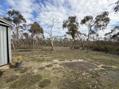 Residential Block For Sale - SA - Cromer - 5235 - Return to Nature. 8.19 ha, private, pretty, original vegetation. bordering the Mount Crawford Forest.  (Image 2)