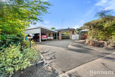 House For Sale - QLD - Norville - 4670 - Solid Brick. Big Block. Rare Find at This Price Point!  (Image 2)