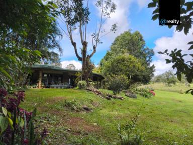 House For Sale - QLD - Ravenshoe - 4888 - "Mowbray Parc" Private Rainforest Sanctuary- Ravenshoe (Image 2)