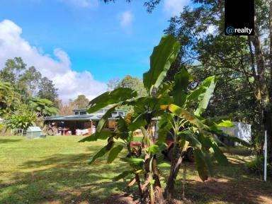House For Sale - QLD - Ravenshoe - 4888 - "Mowbray Parc" Private Rainforest Sanctuary- Ravenshoe (Image 2)
