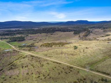Residential Block For Sale - TAS - Bicheno - 7215 - Open To You And Your Dreams (Image 2)