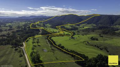 Lifestyle For Sale - NSW - Wards River - 2422 - Riverfront Grazing Meets Picture Perfect Production At Scale  (Image 2)