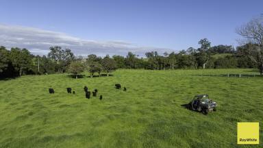 Lifestyle Auction - NSW - Wards River - 2422 - Riverfront Grazing Meets Picture Perfect Production At Scale  (Image 2)