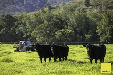 Lifestyle Auction - NSW - Wards River - 2422 - Riverfront Grazing Meets Picture Perfect Production At Scale  (Image 2)