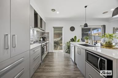 House For Sale - VIC - Stawell - 3380 - Beautifully Renovated Family Home with Spacious Living & Exceptional Outdoor Entertaining and Shedding (Image 2)