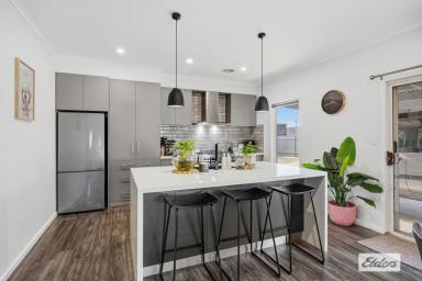 House For Sale - VIC - Stawell - 3380 - Beautifully Renovated Family Home with Spacious Living & Exceptional Outdoor Entertaining and Shedding (Image 2)