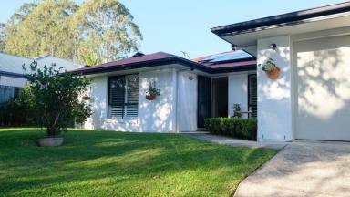 House For Sale - QLD - Buderim - 4556 - Exceptional value, family living opposite parkland in a desirable Buderim location (Image 2)