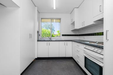 House For Lease - NSW - Raymond Terrace - 2324 - FRESHLY UPDATED CORNER BLOCK WITH SIDE ACCESS! (Image 2)