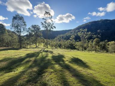 Lifestyle For Sale - NSW - Laguna - 2325 - Perfect Place to Build Your Country Dream!  (Image 2)