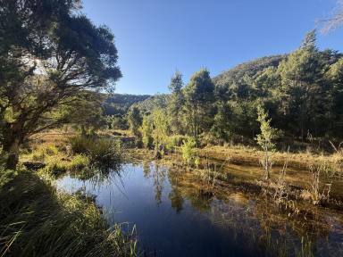 Lifestyle For Sale - NSW - Laguna - 2325 - Perfect Place to Build Your Country Dream!  (Image 2)