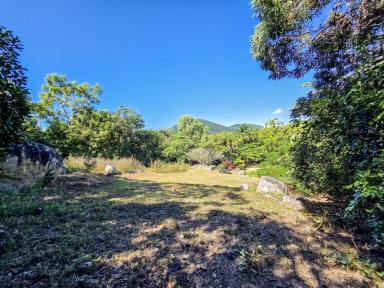 Residential Block For Sale - QLD - Cooktown - 4895 - Peaceful Position, Mountain Views & Potential  (Image 2)