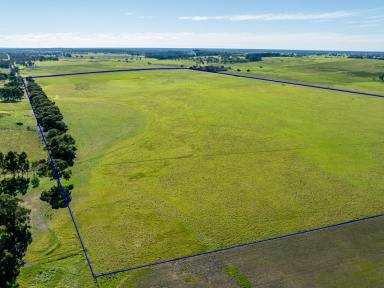 Mixed Farming Auction - SA - Naracoorte - 5271 - Auction - Old Caves Road, Naracoorte (Image 2)