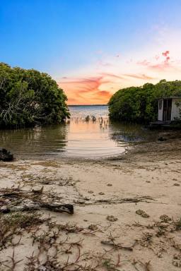 House For Sale - QLD - Macleay Island - 4184 - Waterfront Lifestyle Opportunity  (Image 2)