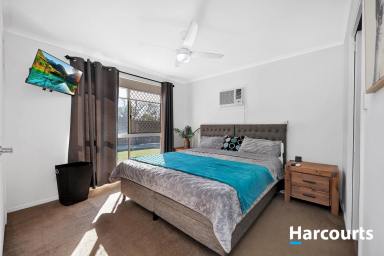 Lifestyle For Sale - QLD - Gin Gin - 4671 - THE BEST OF BOTH WORLDS  (Image 2)