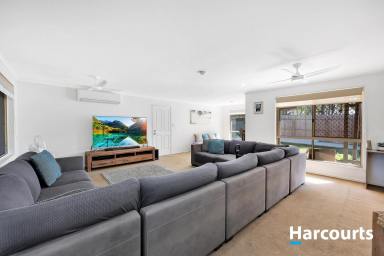 Lifestyle For Sale - QLD - Gin Gin - 4671 - THE BEST OF BOTH WORLDS  (Image 2)