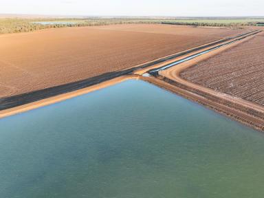Cropping For Sale - QLD - Arcturus - 4702 - LARGE-SCALE, IRRIGATED & DRYLAND CROPPING OPPORTUNITY  (Image 2)