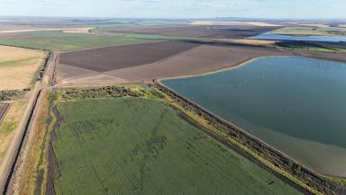 Cropping For Sale - QLD - Arcturus - 4702 - LARGE-SCALE, IRRIGATED & DRYLAND CROPPING OPPORTUNITY  (Image 2)