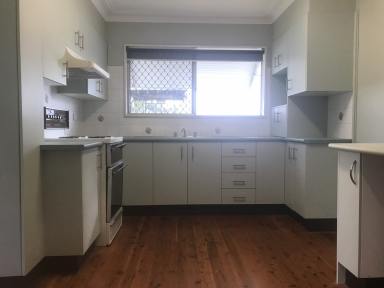 House For Lease - NSW - Tamworth - 2340 - Three Bedroom Home with Detached Studio  (Image 2)