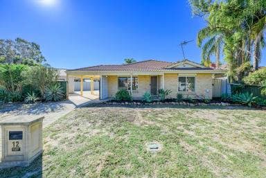 House Sold - WA - Middle Swan - 6056 - Family Charm in Middle Swan Awaits  (Image 2)