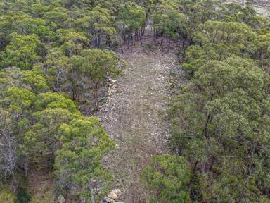 Residential Block For Sale - TAS - Bicheno - 7215 - Privacy In A Bush Setting (Image 2)