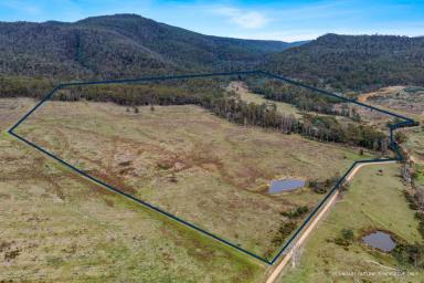Residential Block For Sale - TAS - Bicheno - 7215 - Creek, Pasture, Bush and Privacy (Image 2)