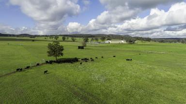 Mixed Farming For Sale - NSW - Merriwa - 2329 - Productive Irrigation and Cattle Enterprise (Image 2)