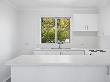 House For Lease - TAS - Bridgewater - 7030 - Freshly Renovated 3-Bedroom Home  (Image 2)