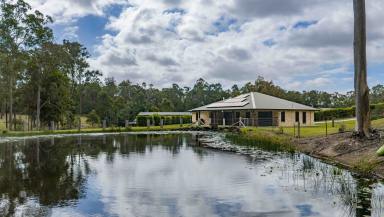 Acreage/Semi-rural For Sale - QLD - Pie Creek - 4570 - A Lifestyle Property with a Shed Worth Bragging About  (Image 2)