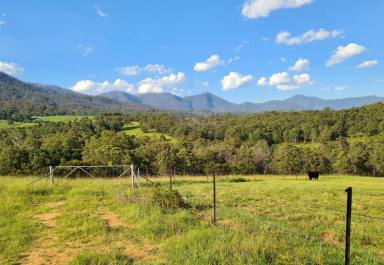 Residential Block For Sale - NSW - Bemboka - 2550 - Charming and Versatile Bemboka Country Acreage  (Image 2)
