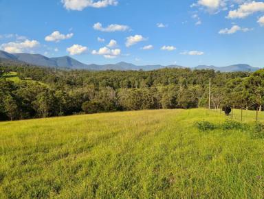 Residential Block For Sale - NSW - Bemboka - 2550 - Charming and Versatile Bemboka Country Acreage (Image 2)