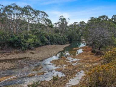 Residential Block For Sale - TAS - Bicheno - 7215 - Large Acreage With River Frontage  (Image 2)