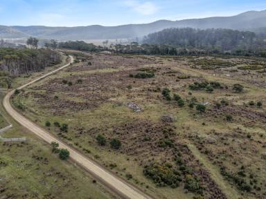 Residential Block For Sale - TAS - Bicheno - 7215 - Large Acreage With River Frontage  (Image 2)