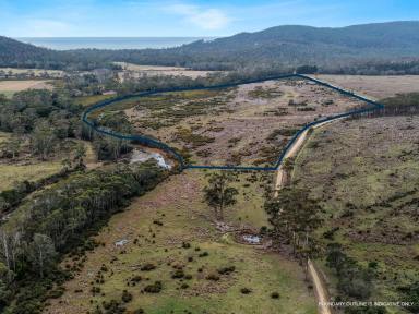 Residential Block For Sale - TAS - Bicheno - 7215 - Large Acreage With River Frontage  (Image 2)