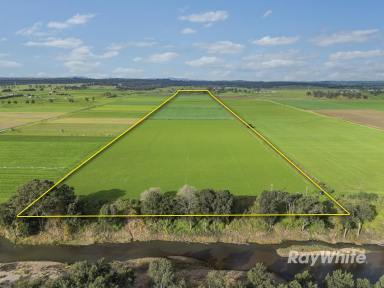 Lifestyle For Sale - NSW - Singleton - 2330 - Highly Productive Irrigation Property with Extensive Water Entitlement (Image 2)