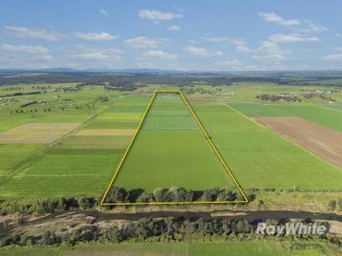 Lifestyle For Sale - NSW - Singleton - 2330 - Highly Productive Irrigation Property with Extensive Water Entitlement  (Image 2)