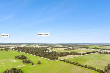 Livestock For Sale - VIC - Meredith - 3333 - Private Picturesque Holding  (Image 2)