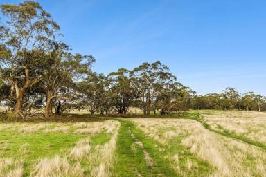 Livestock For Sale - VIC - Meredith - 3333 - Private Picturesque Holding  (Image 2)