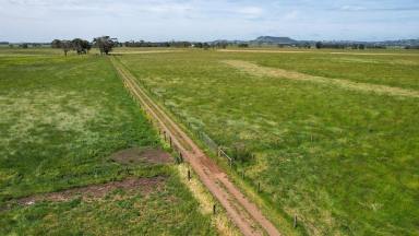 Lifestyle For Sale - VIC - Camperdown - 3260 - Lifestyle Grazing on the edge of Camperdown (Image 2)