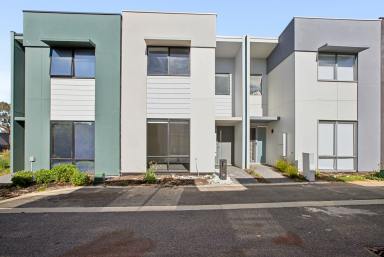 House For Lease - WA - Orelia - 6167 - BRAND NEW 3 BED 2 BATH HOME!! (Image 2)