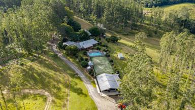 Acreage/Semi-rural For Sale - QLD - Cooran - 4569 - 64 Acres of Privacy, Prestige & Panoramic Views  (Image 2)