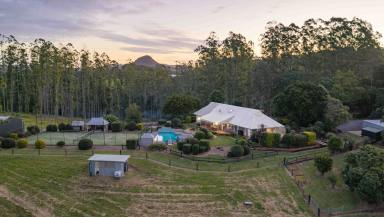 Acreage/Semi-rural For Sale - QLD - Cooran - 4569 - 64 Acres of Privacy, Prestige & Panoramic Views  (Image 2)