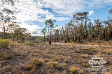 Lifestyle For Sale - NSW - Deepwater - 2371 - ‘Banksia Brae’ - Outstanding Lifestyle Opportunity (Image 2)